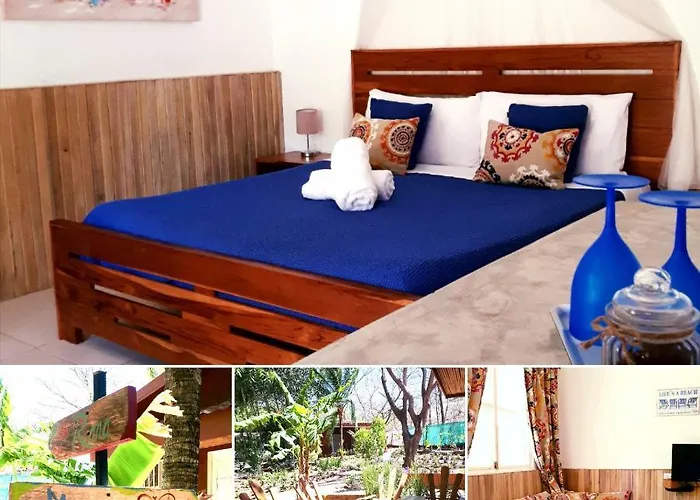 Pensión Casa Mapache
