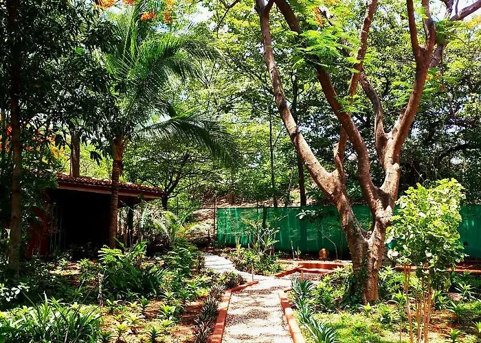 Casa Mapache