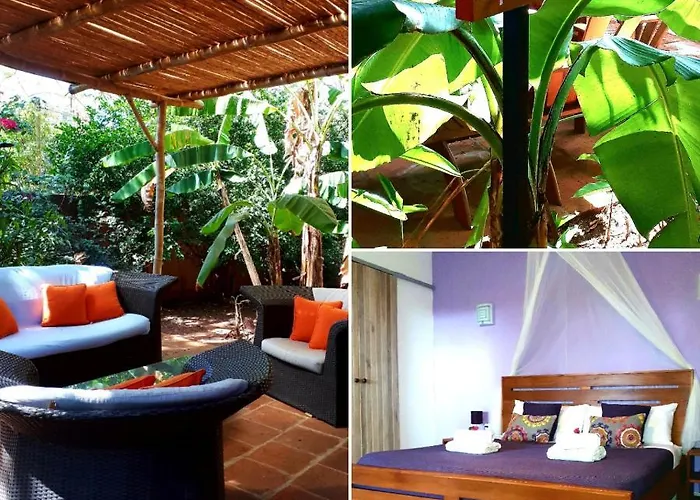 Casa Mapache Pensión Tamarindo