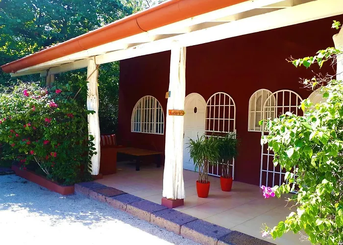 Casa Mapache