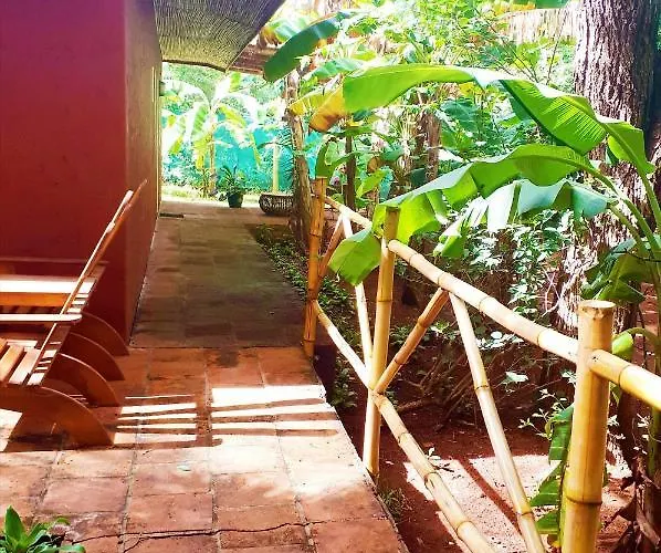 Casa Mapache 3* Tamarindo