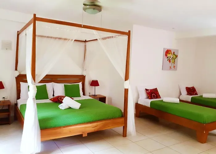 Pensión Casa Mapache 3*