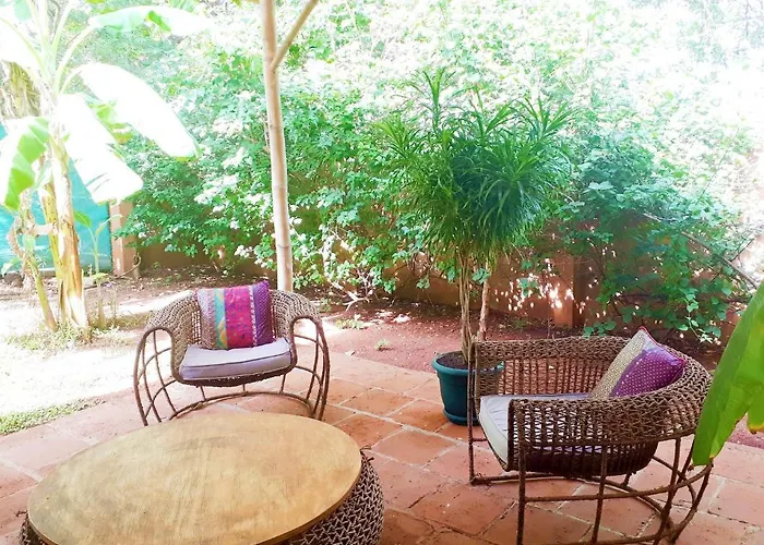 Casa Mapache