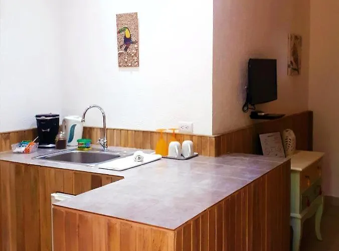 Pensión Casa Mapache