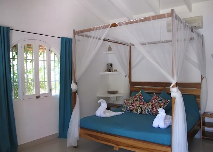 Casa Mapache Pensión Tamarindo