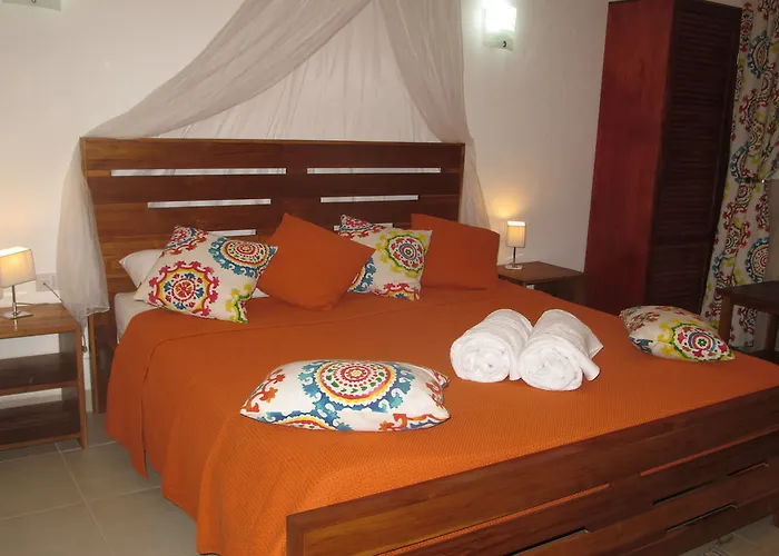 Pensión Casa Mapache 3*
