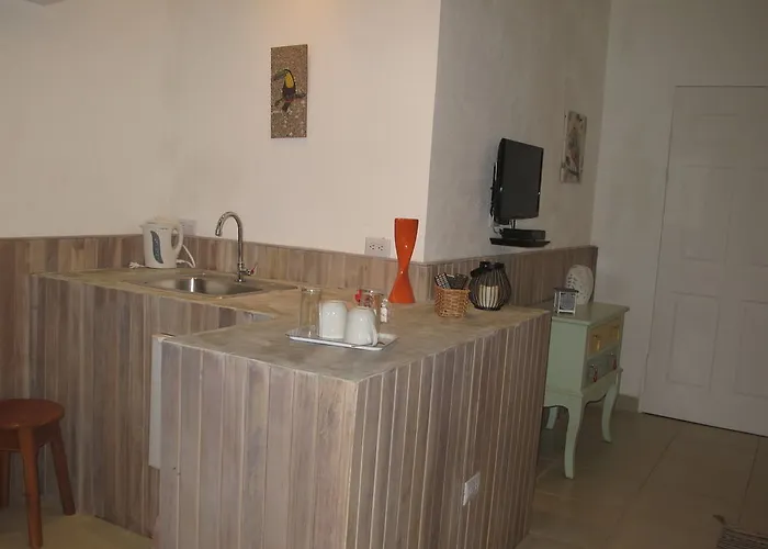 Casa Mapache