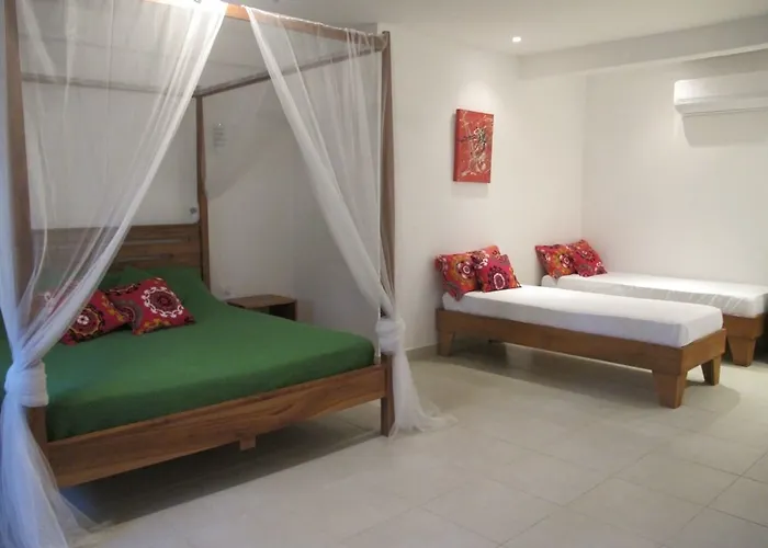 Casa Mapache 3* Tamarindo