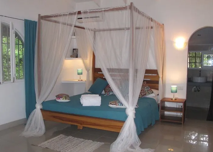 Casa Mapache