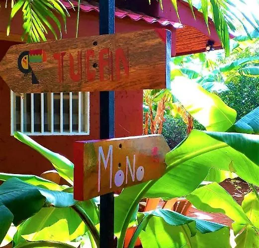Pensión Casa Mapache