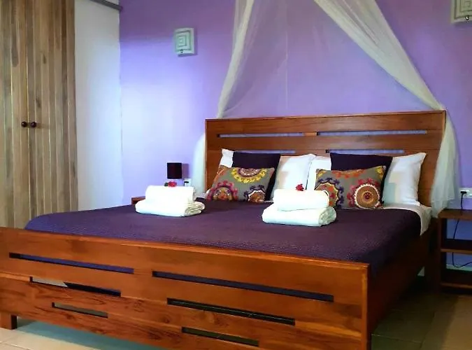 Casa Mapache Pensión 3*