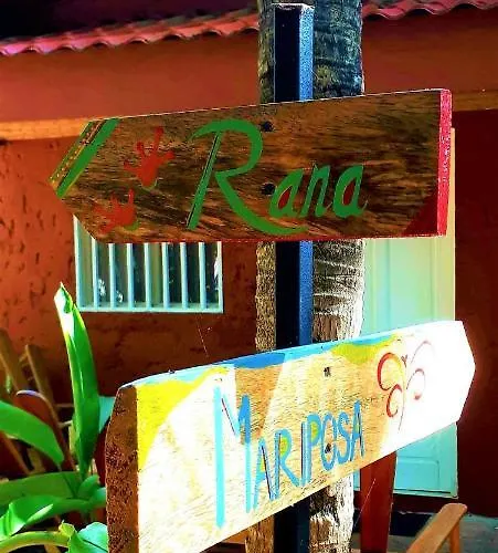 Casa Mapache Pensión