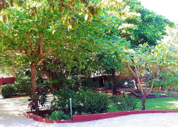 Pensión Casa Mapache Tamarindo