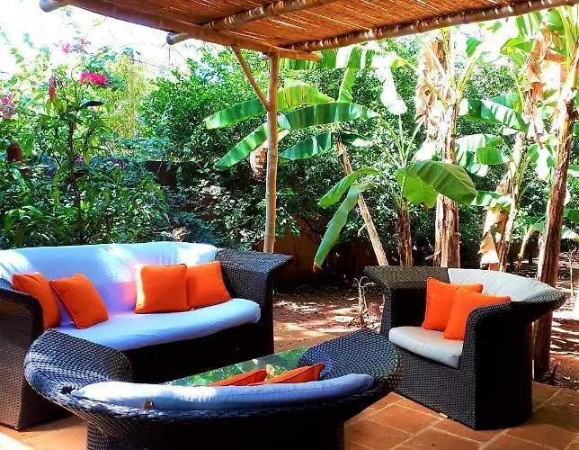 Casa Mapache