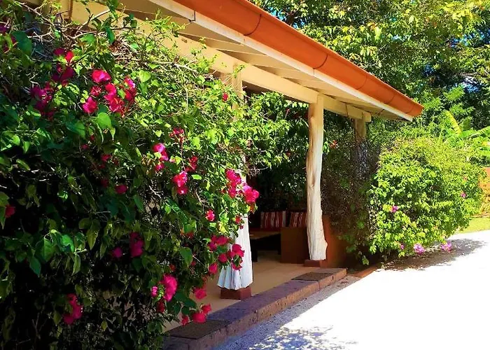 Casa Mapache Pensión