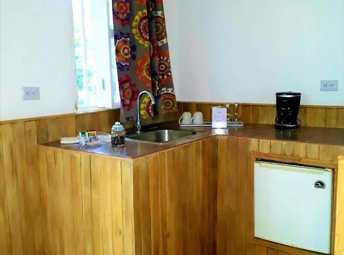 Casa Mapache
