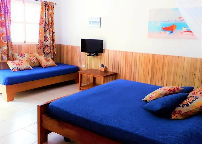 Casa Mapache 3*